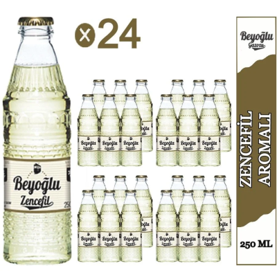 BEYOĞLU ZENCEFİLLİ GAZOZ 24''LÜ - 1